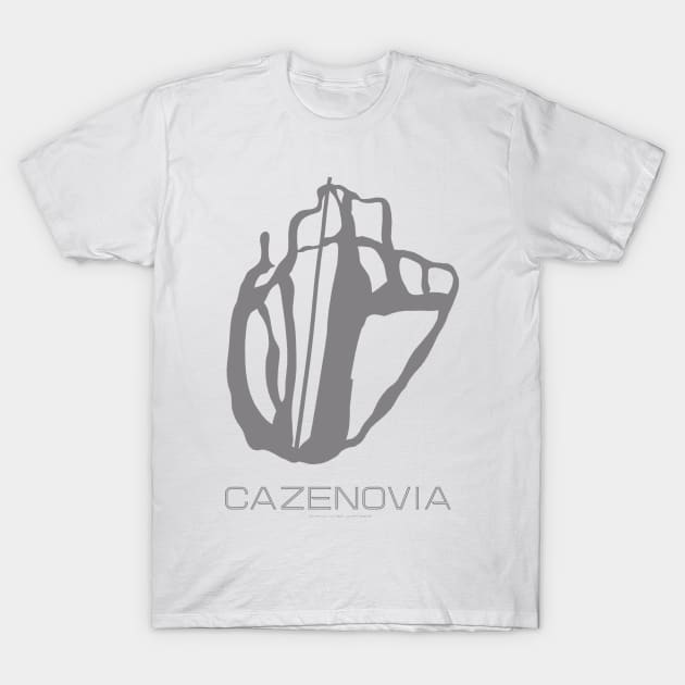 Cazenovia Resort 3D T-Shirt by Mapsynergy